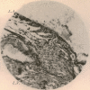 i2