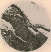i2