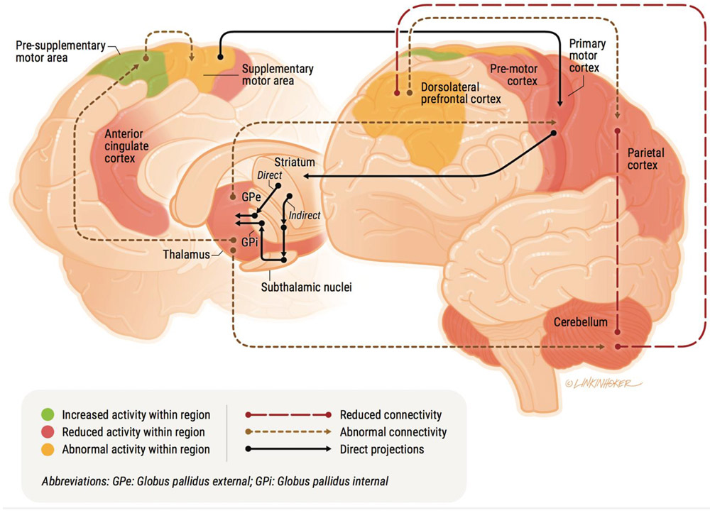 Figure 1: