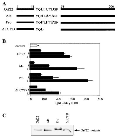 FIG. 6