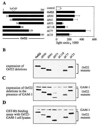 FIG. 7