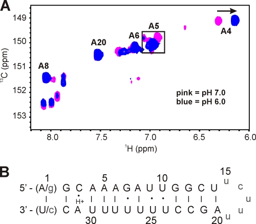 Fig. 6.