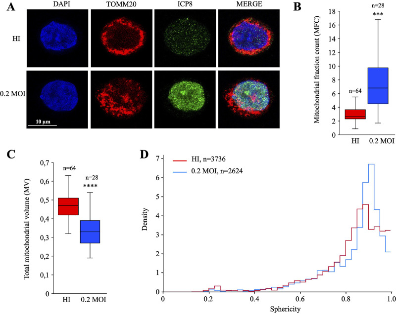 FIG 3