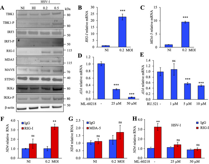 FIG 6