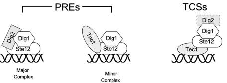 FIG. 7.