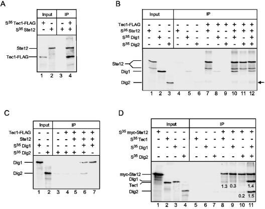 FIG. 4.