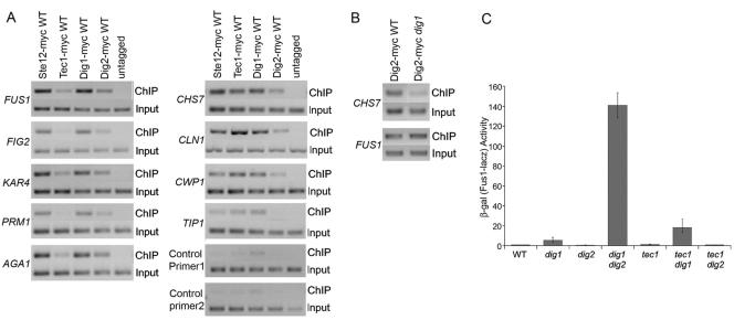 FIG. 6.