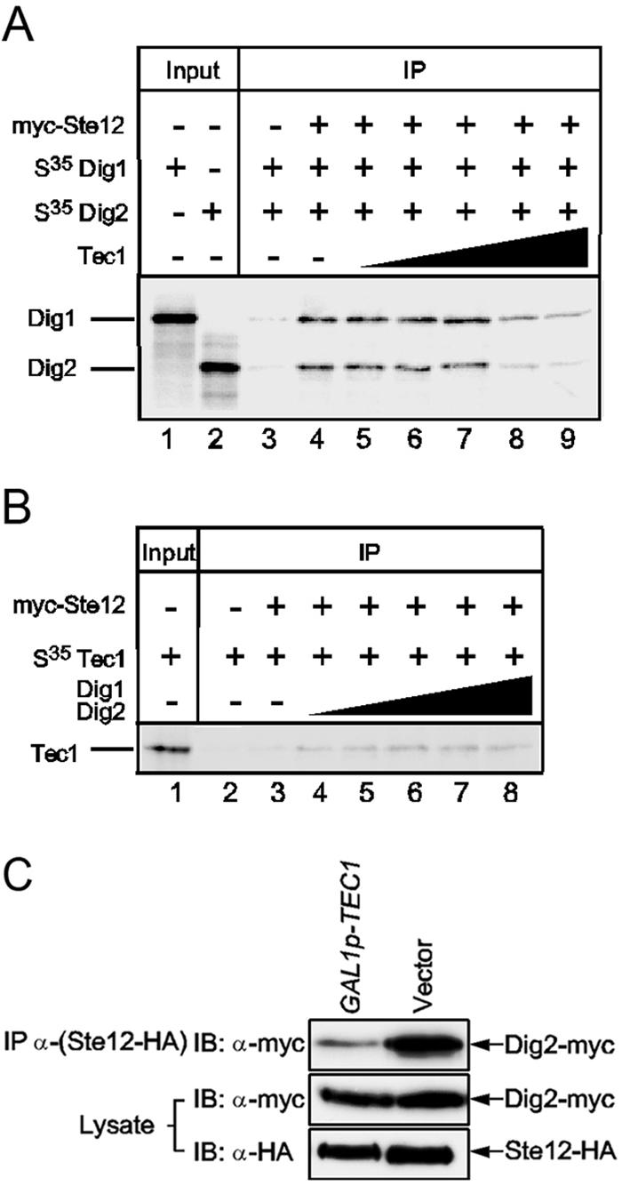 FIG. 5.