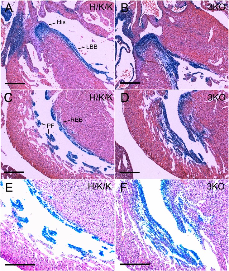 Fig. 8.