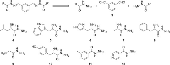 Scheme 1