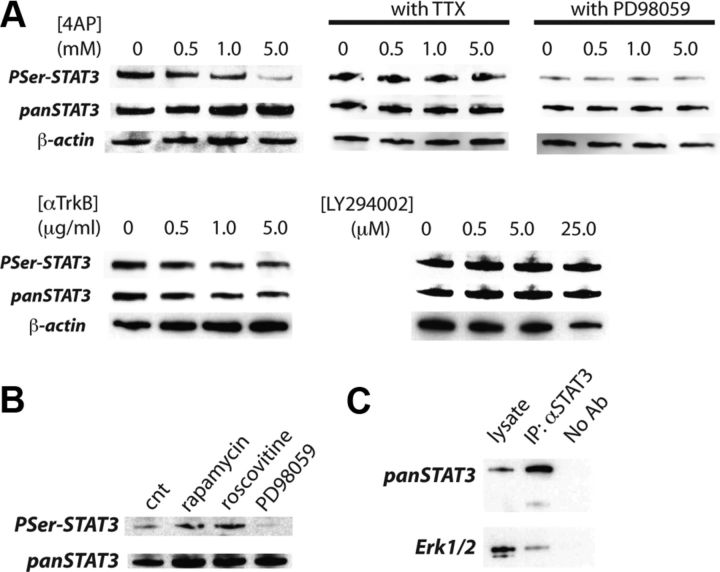 Figure 3B.