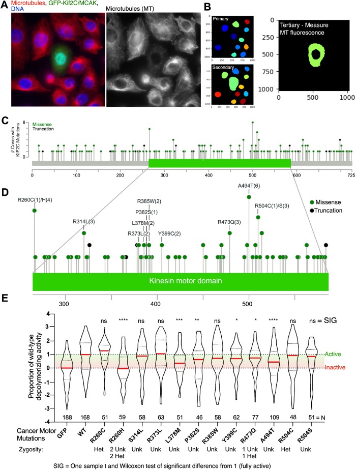 FIGURE 4: