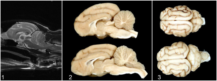 Figures 1–3.