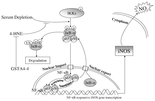 Fig. 9