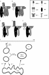 Fig. 10.