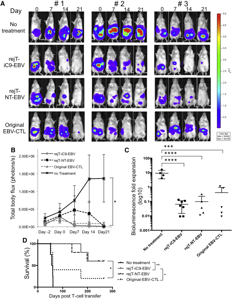 Figure 4