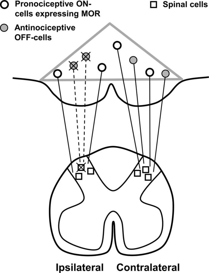 Figure 10.