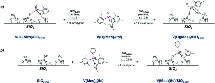 Scheme 6