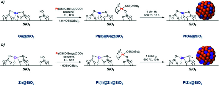 Scheme 9