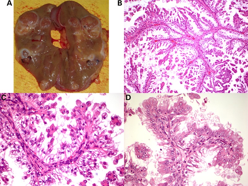 Figure 1.