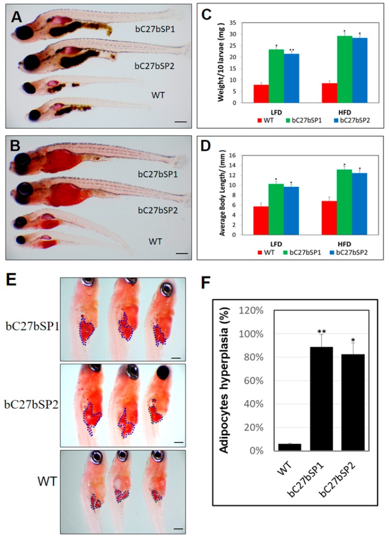 Figure 6