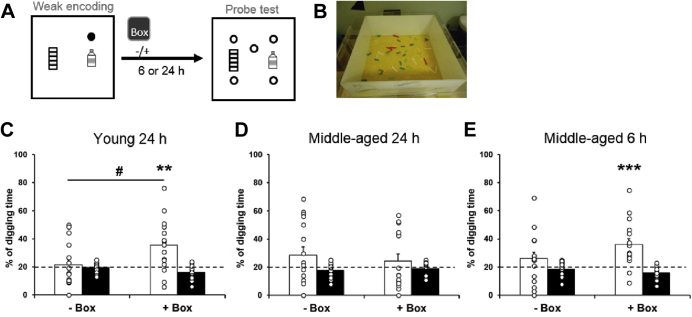 Fig. 3