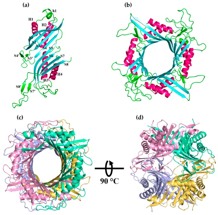 Figure 4