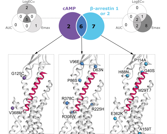 Figure 5