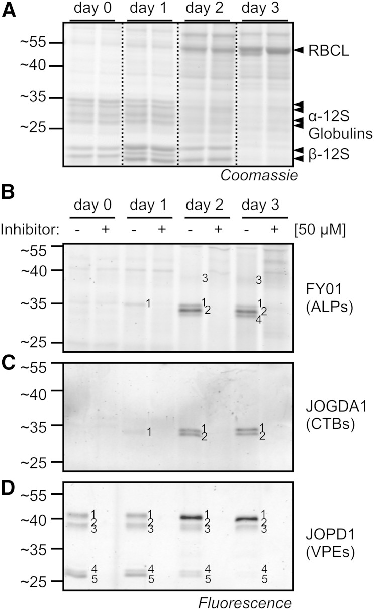 Figure 6.