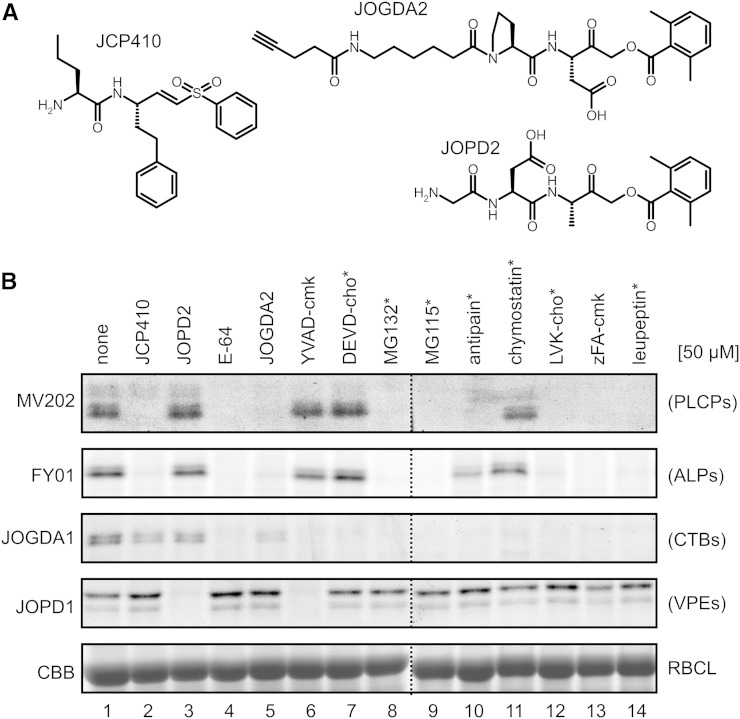 Figure 5.