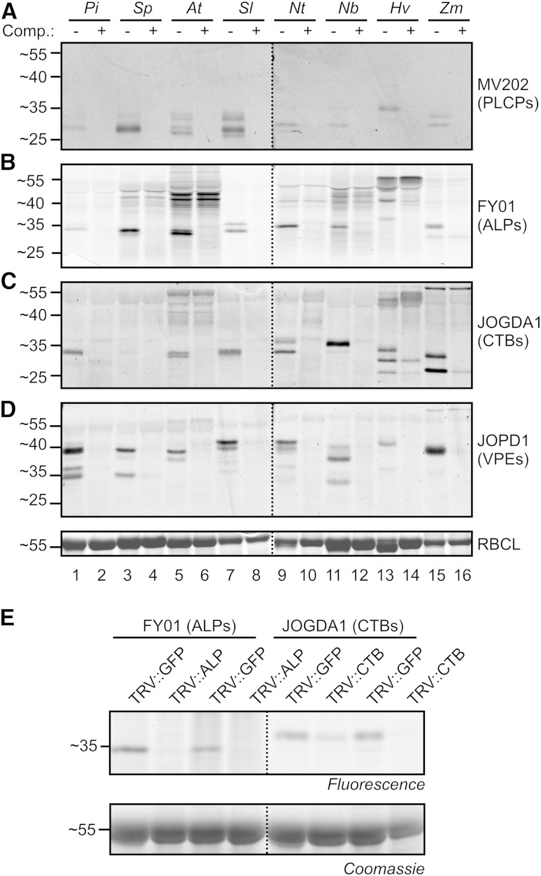 Figure 4.