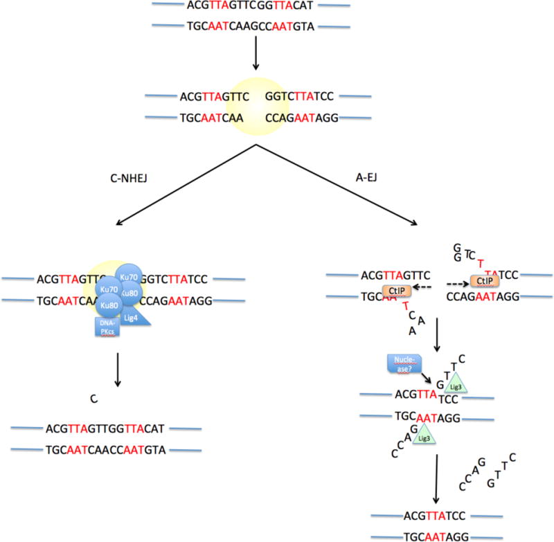 Fig 4