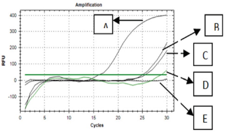 Figure 6.