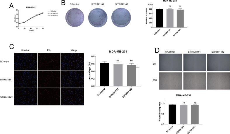 Supplementary Fig. 3