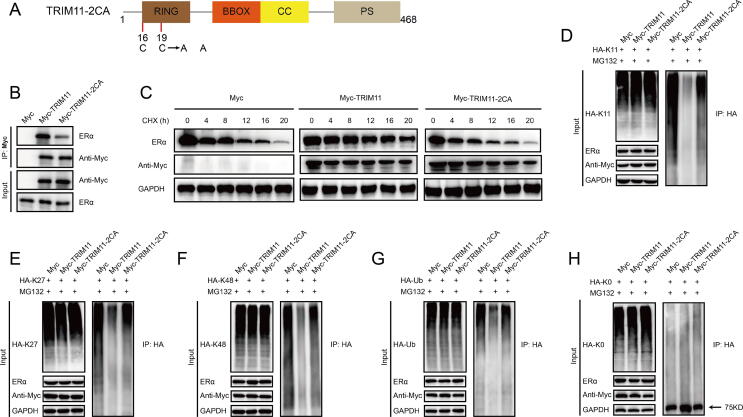 Supplementary Fig. 5