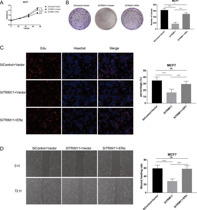 Supplementary Fig. 4