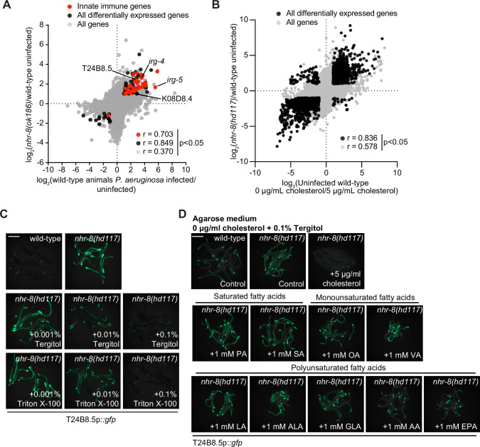 Figure 3—figure supplement 1.