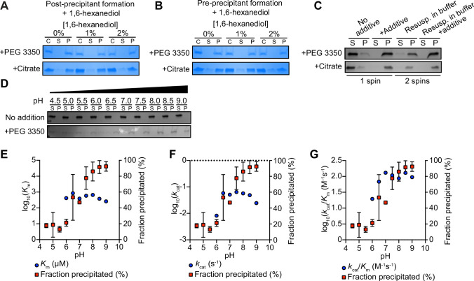 Figure 2—figure supplement 2.