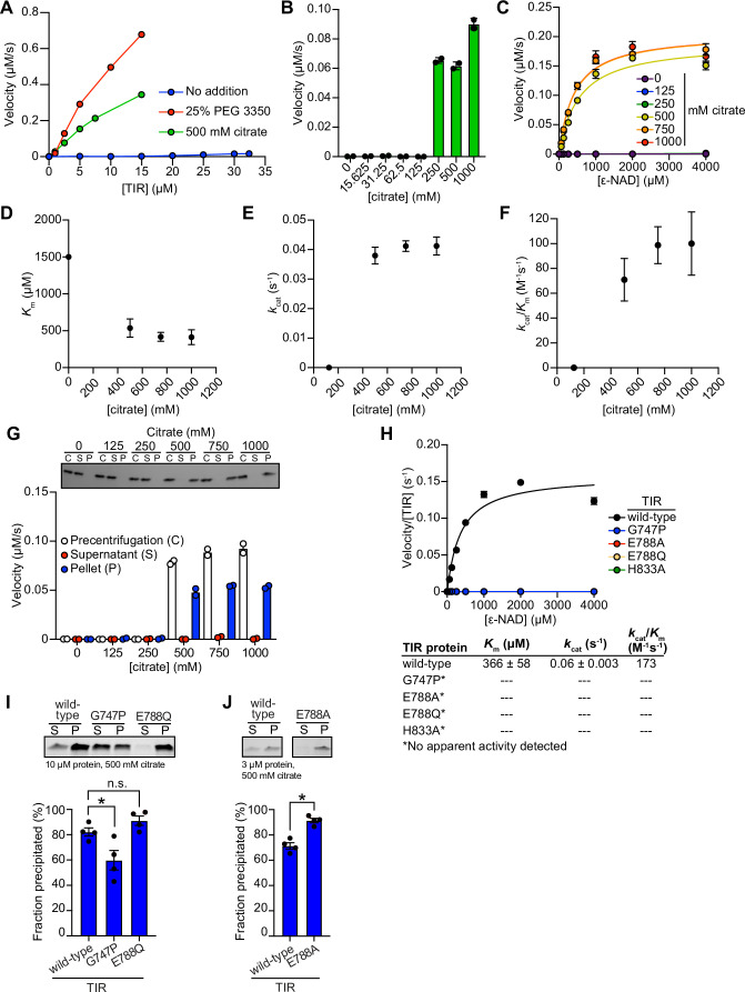 Figure 2—figure supplement 1.