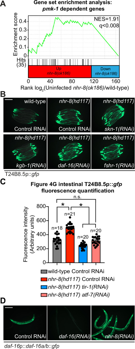 Figure 4—figure supplement 1.