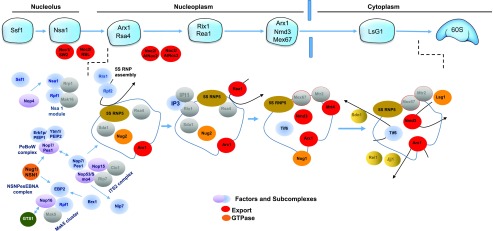 Figure 5.