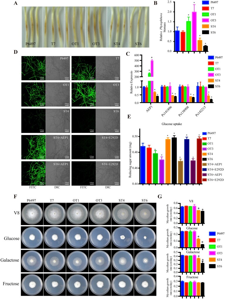 Figure 6