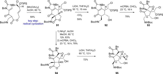 Scheme 25.