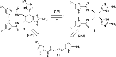 Figure 10.