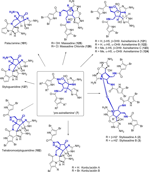 Figure 13.