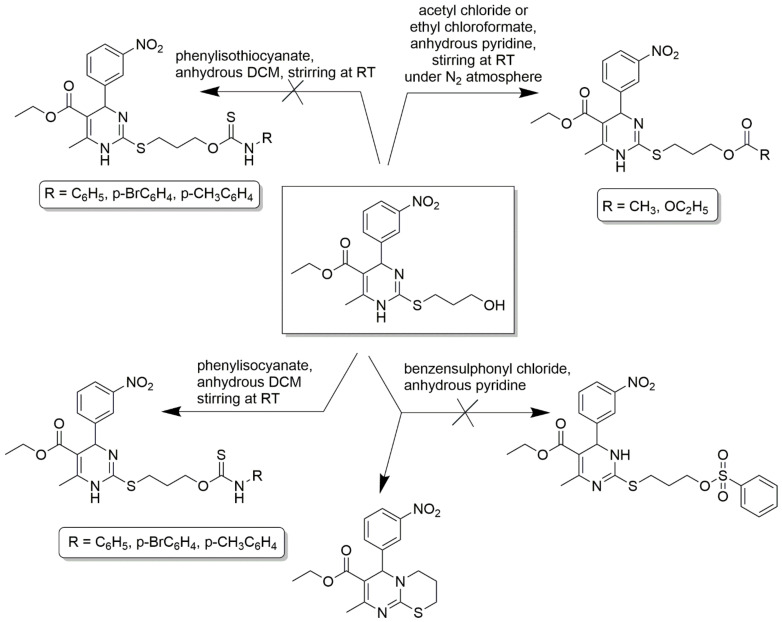 Scheme 12