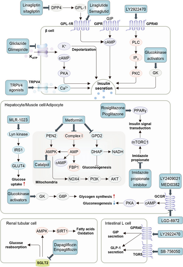 FIGURE 11