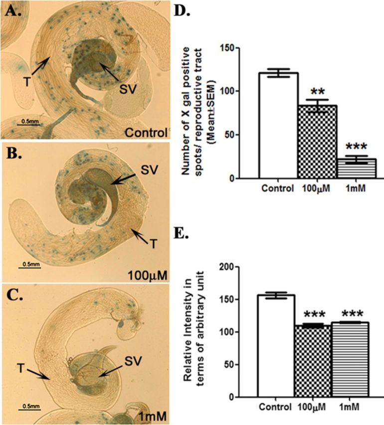 FIG. 7.