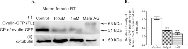 FIG. 9.