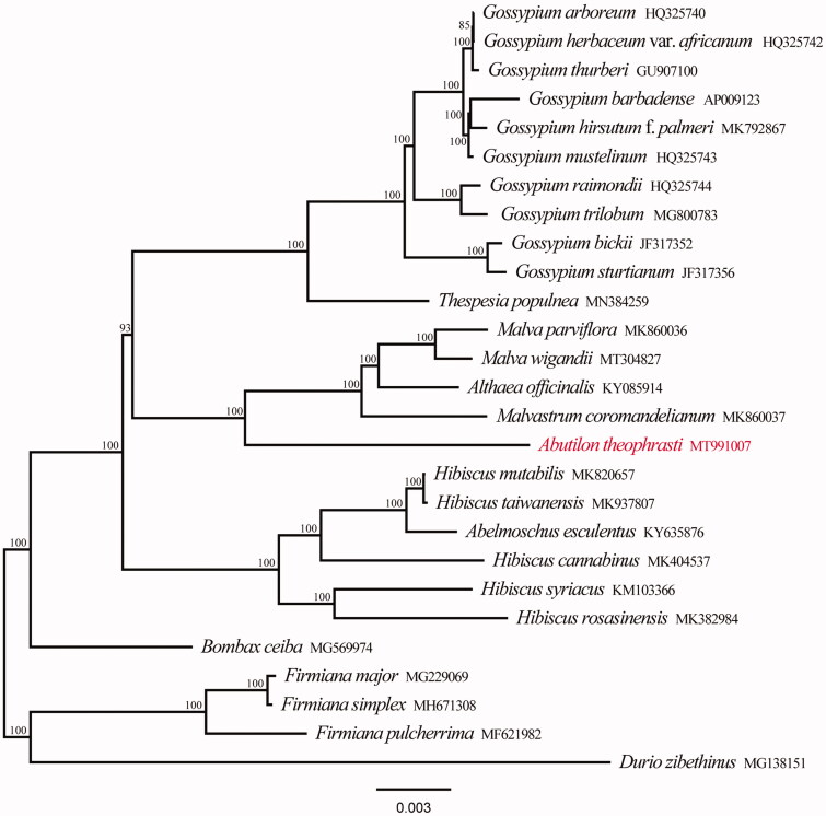 Figure 1.